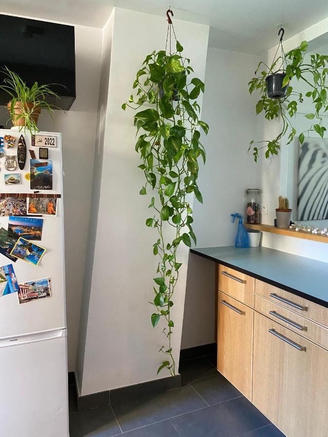 Grand F2 Avec Vue Sur La Maison De Georges Brassens Leilighet Paris Eksteriør bilde